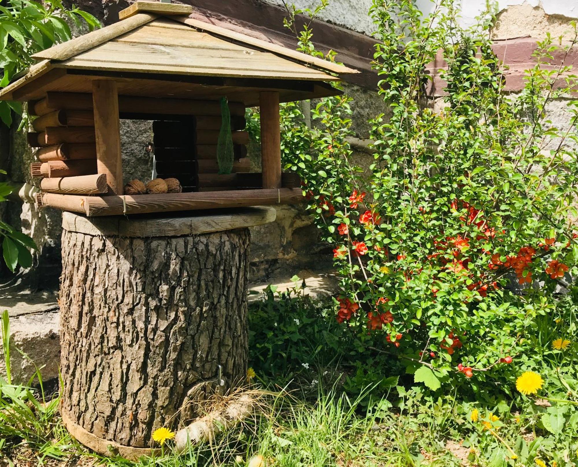 Apartamenty Pod Skocznia Karpacz Δωμάτιο φωτογραφία